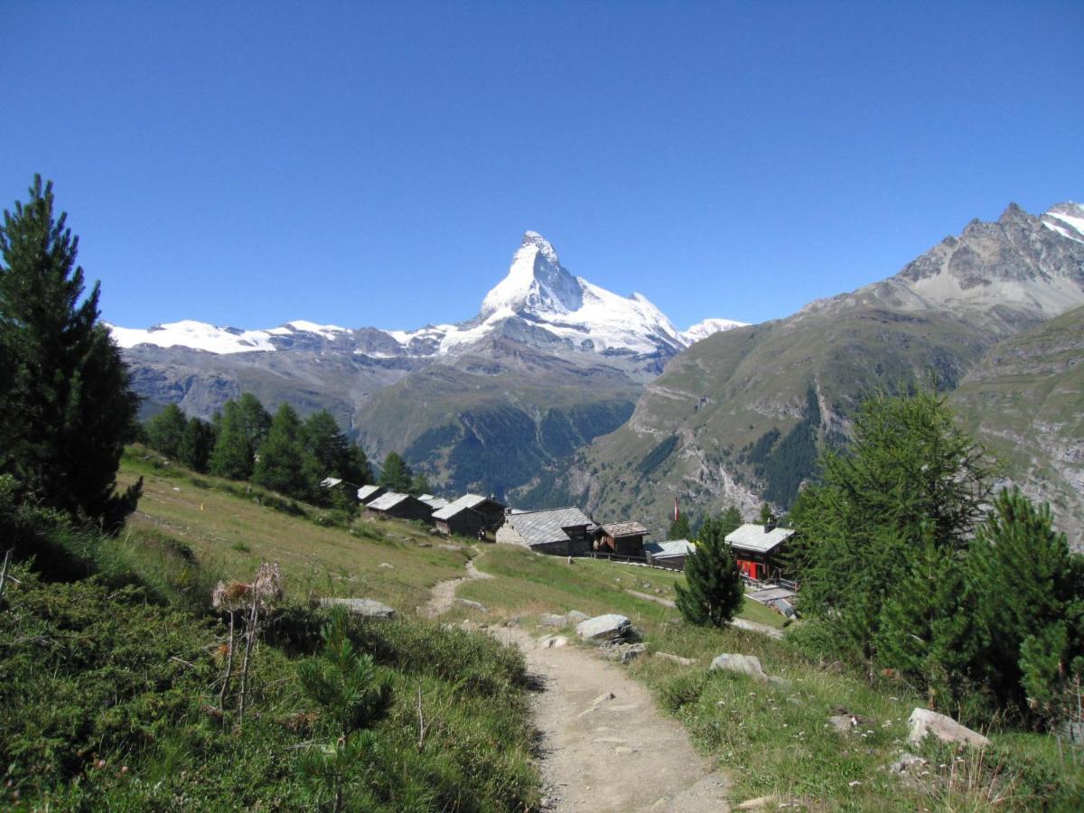 Apartment Oasis By Interhome Zermatt Exteriör bild