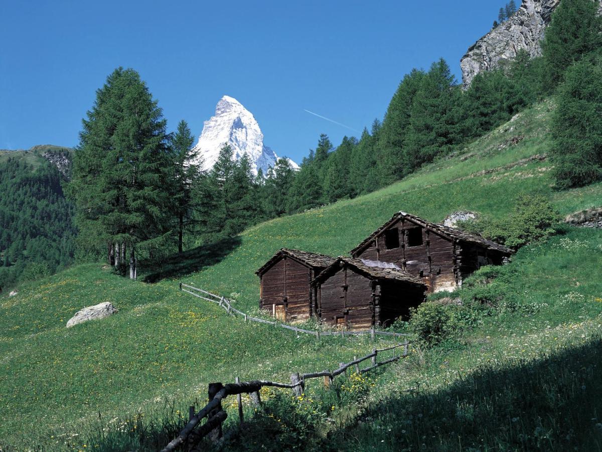 Apartment Oasis By Interhome Zermatt Exteriör bild